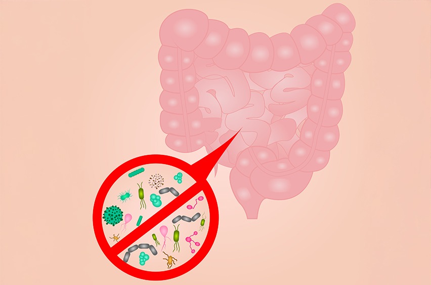 elemental-diet-for-gut-and-sibo-small-intestinal-bacterial-overgrowth-rory-hornstein-registered-dietitian-calgary-central-and-southern-alberta