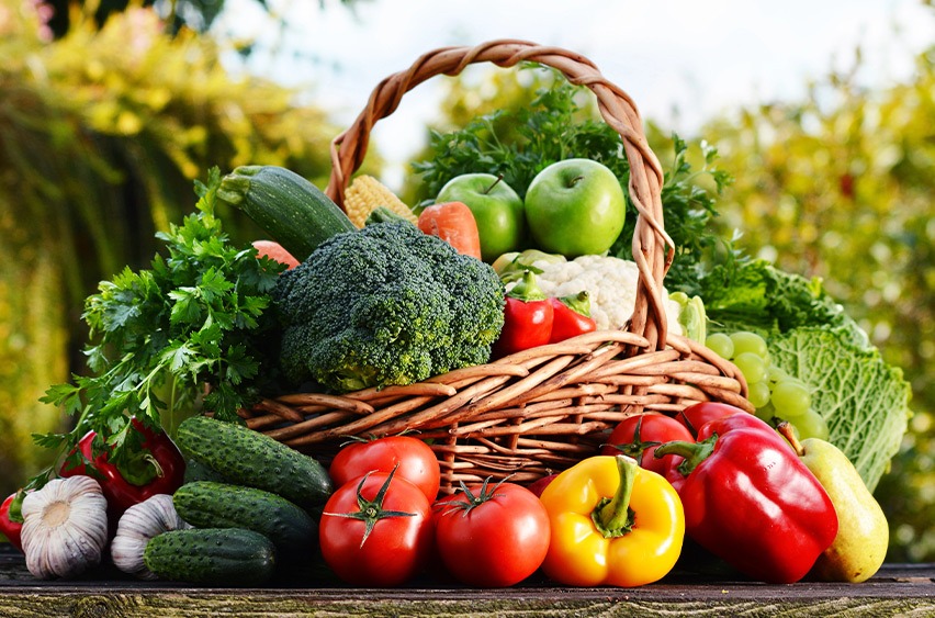 Why Work With A GI Dietitian | Rory Hornstein | Registered Dietitian | Calgary and Surrounding Areas